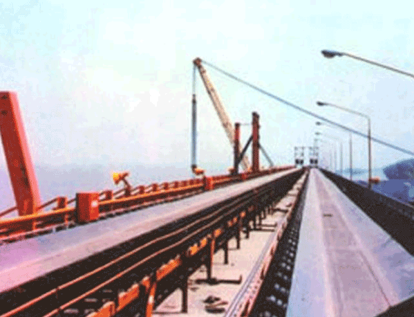 TD75型皮带榴莲APP网站入口机